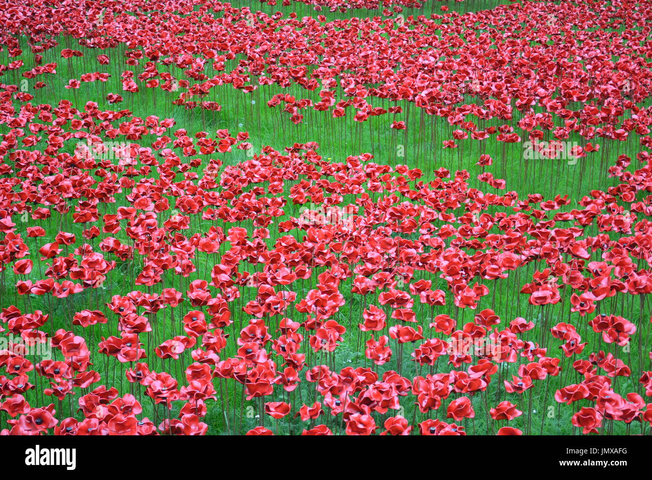 Amazing Poppies on Tower of London, UK Stock Photo