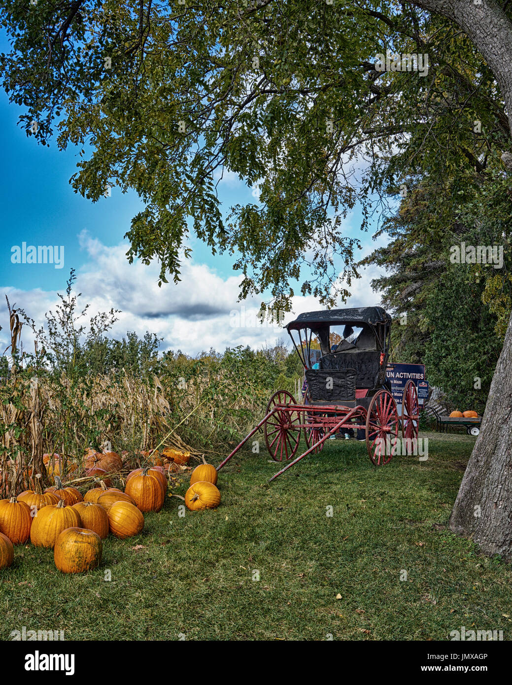 Red wheeled buggy hi-res stock photography and images - Alamy