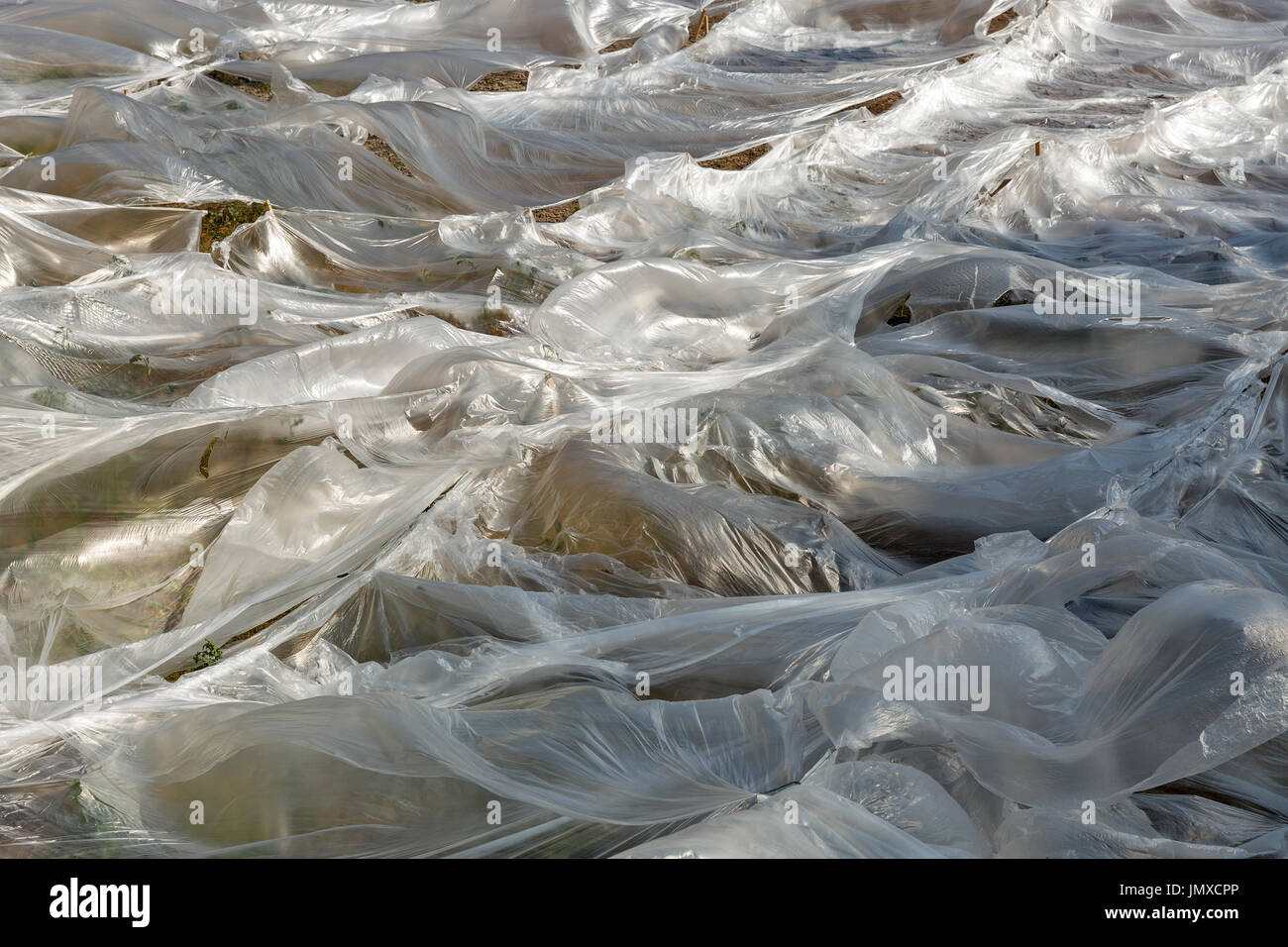 Abstract field covered by polyethylene. Ecology concept. Stock Photo