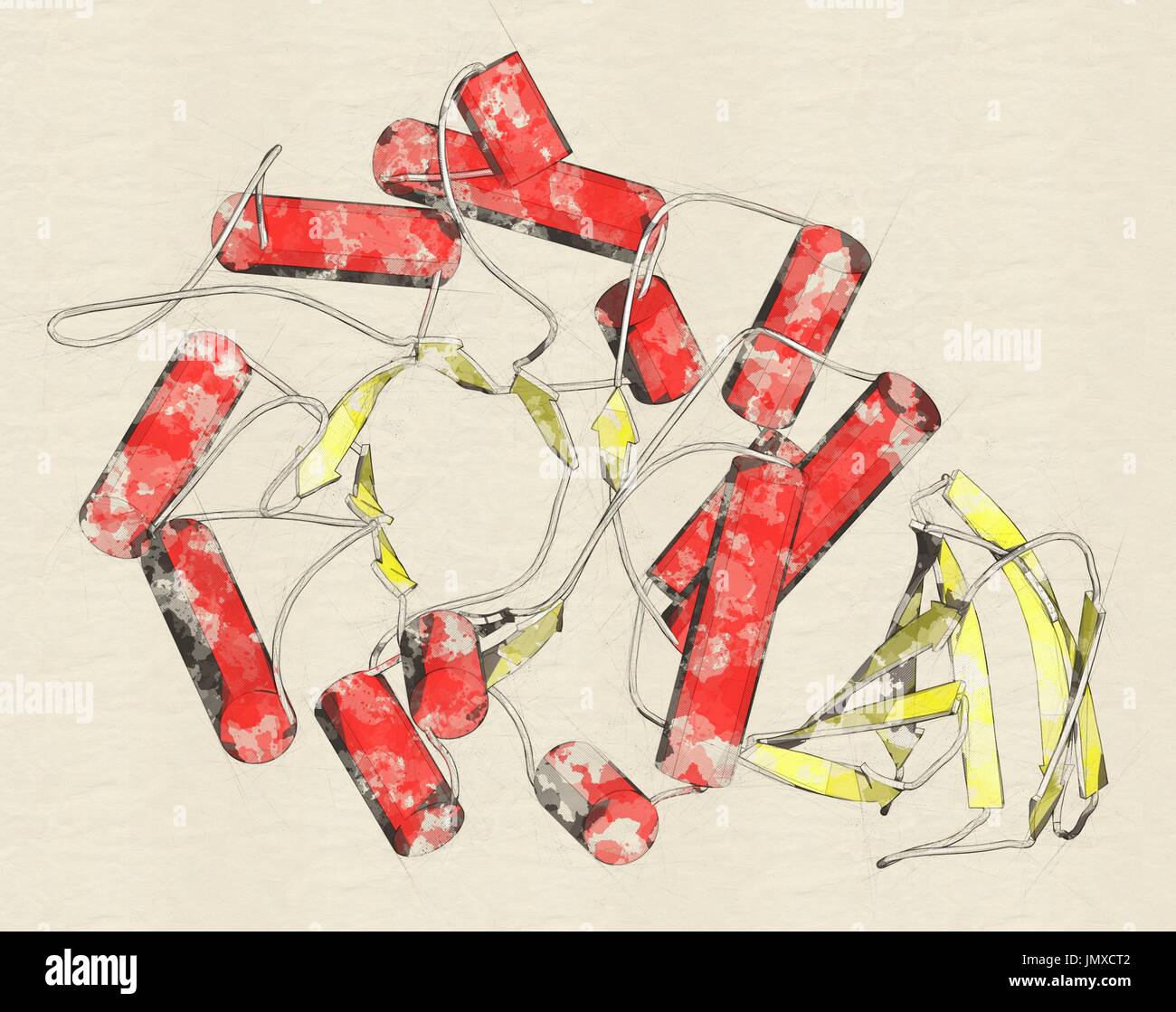 Alpha-galactosidase (Agalsidase) enzyme. Cause of Fabry's disease. Administered as enzyme replacement therapy. Stylized cartoon model, secondary structure colouring (helices red, sheets yellow). Stock Photo