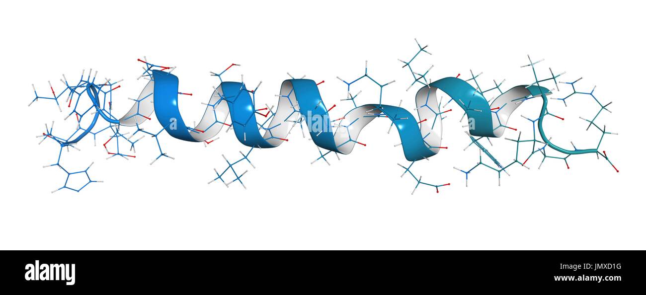Glucagon-like peptide 1 (GLP1, 7-36) molecule. GLP-1 analogues are