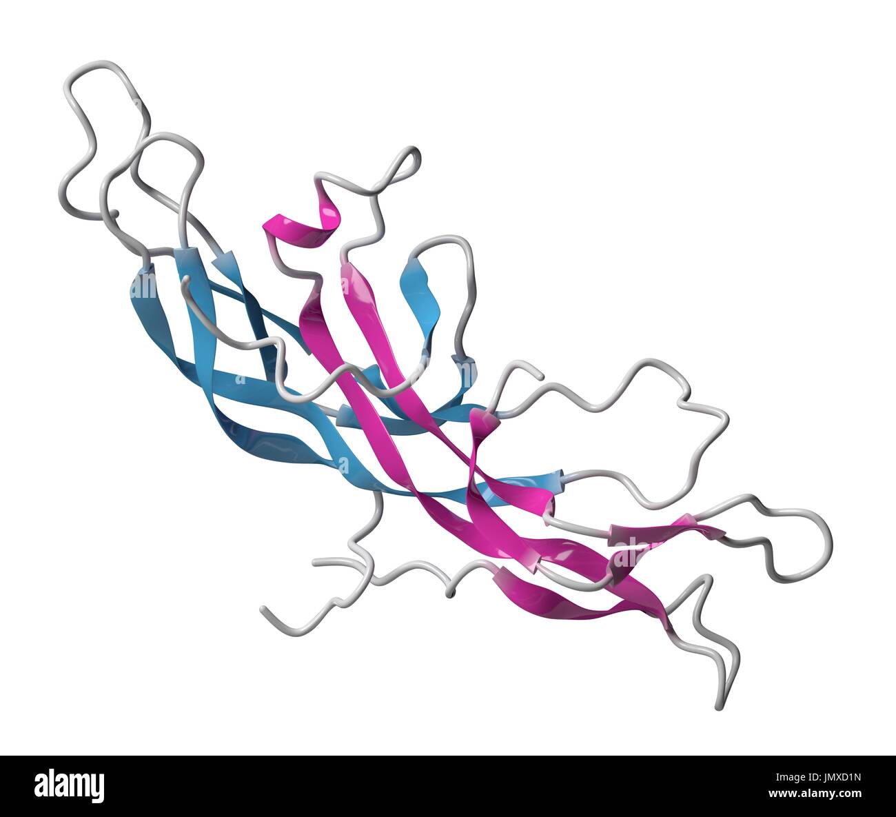 Human Chorionic Gonadotropin hCG glycoprotein hormone chemical