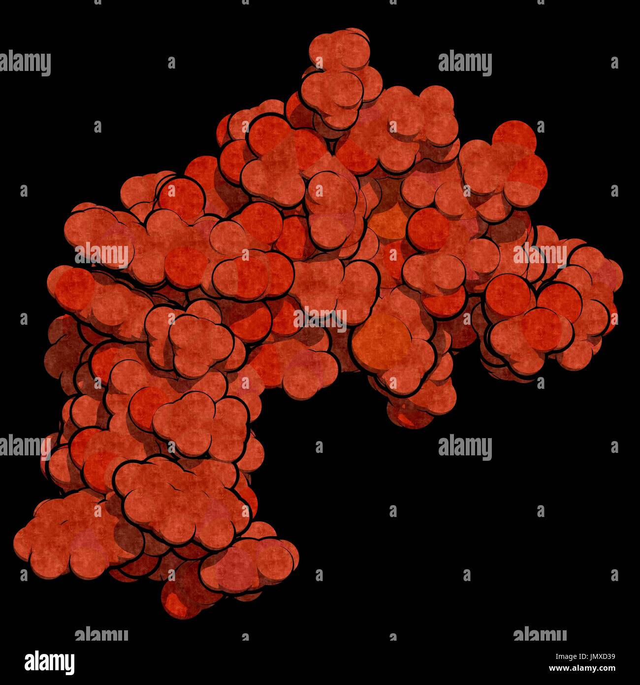 Epidermal growth factor (EGF) signalling protein molecule. Space-filling model. Stock Photo