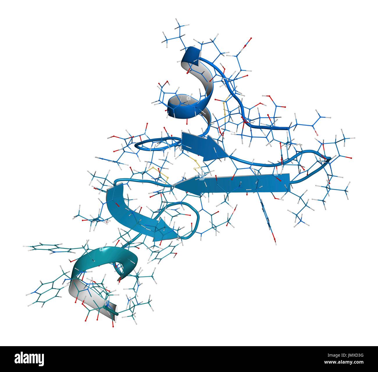 Epidermal growth factor (EGF) signalling protein molecule. Combined wireframe and cartoon model. Cartoon and carbon atoms: backbone gradient colouring (blue-teal); other atoms: conventional colour coding. Stock Photo