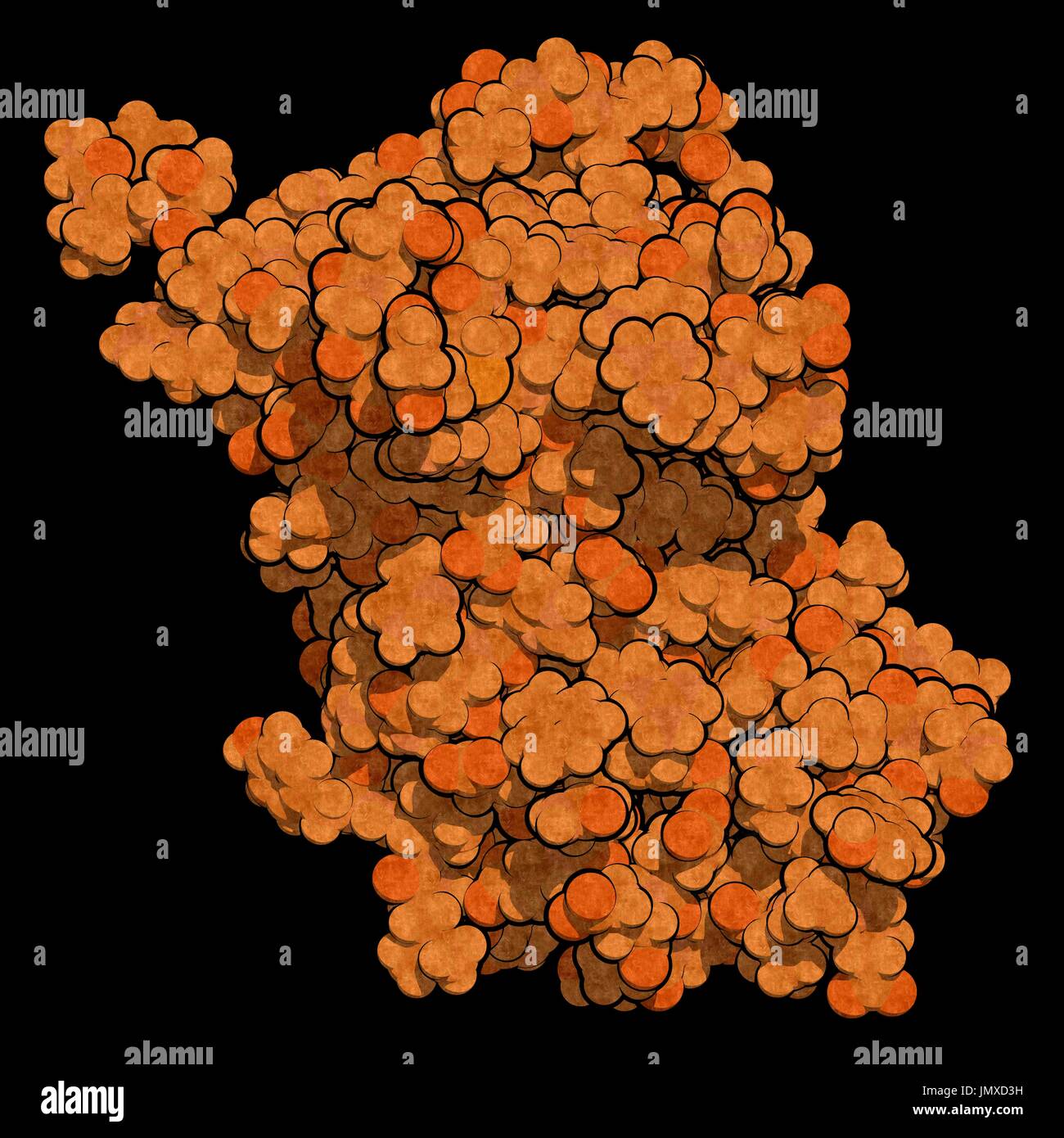 Human growth hormone (hGH, Somatotropin) protein. Natural hormone that