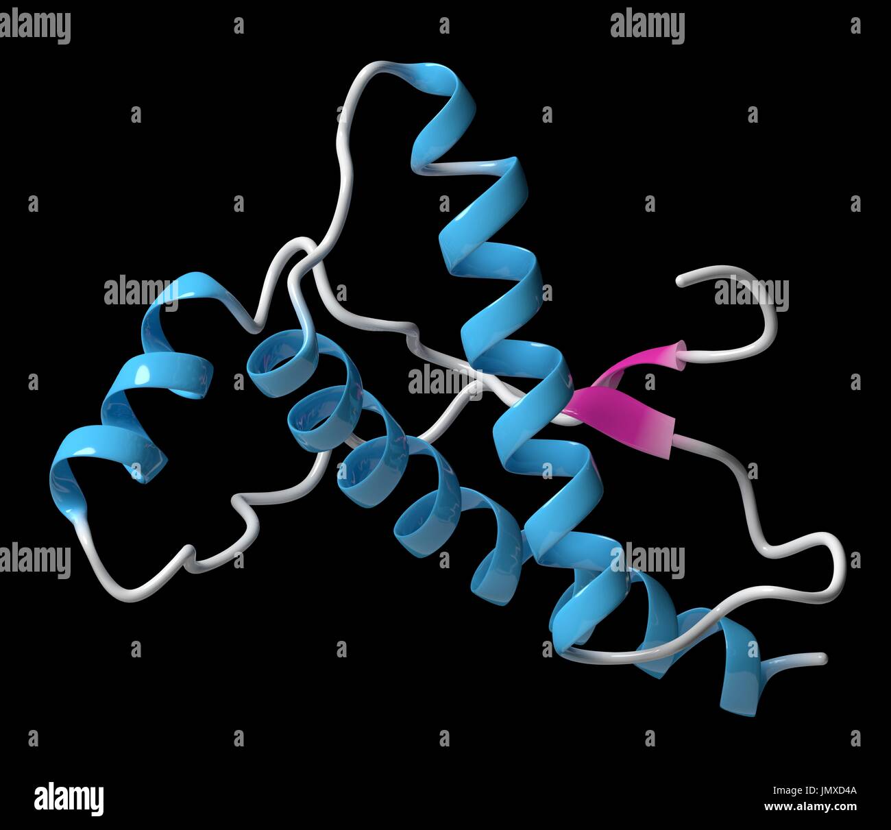 Human prion protein (hPrP). Associated with neurodegenerative diseases,  including kuru, BSE and Creutzfeldt-Jakob. Cartoon model, secondary  structure colouring (helices blue, sheets pink Stock Photo - Alamy