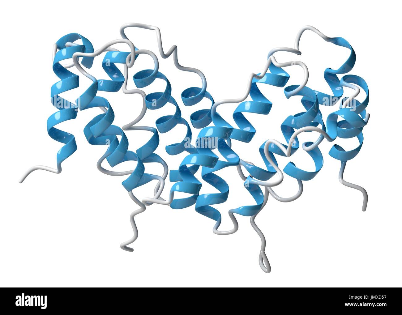 Interferon gamma (IFNg) cytokine molecule, chemical structure Stock