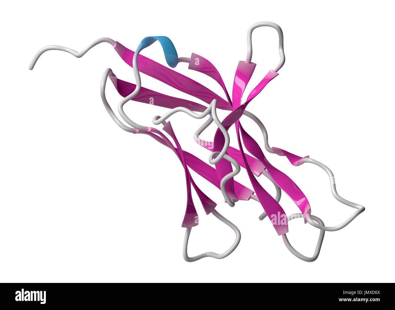 Programmed cell death 1 (PD-1, CD279) receptor protein. PD-1 is a major cancer drug target. Cartoon model, secondary structure colouring (helices blue, sheets pink). Stock Photo