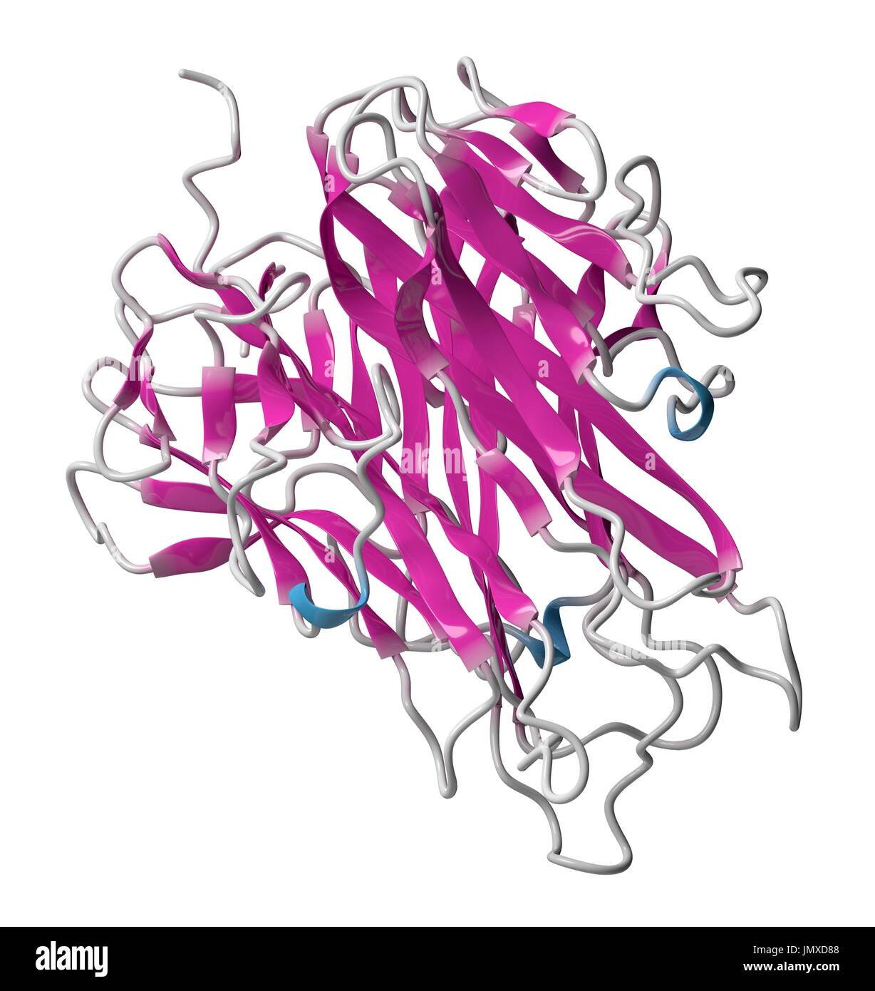 Tumour necrosis factor alpha (TNF) cytokine protein molecule. Clinically used inhibitors include infliximab, adalimumab, certolizumab and etanercept and are used to treat diseases such as Crohn's disease, psoriasis and rheumatoid arthritis. Cartoon model, secondary structure colouring (helices blue, sheets pink). Stock Photo