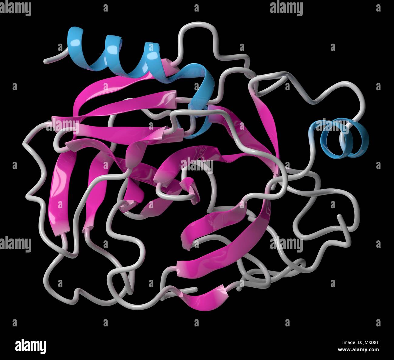 Trypsin digestive enzyme molecule (human). Enzyme that contributes to the digestion of proteins in the digestive system. Cartoon model, secondary structure colouring (helices blue, sheets pink). Stock Photo
