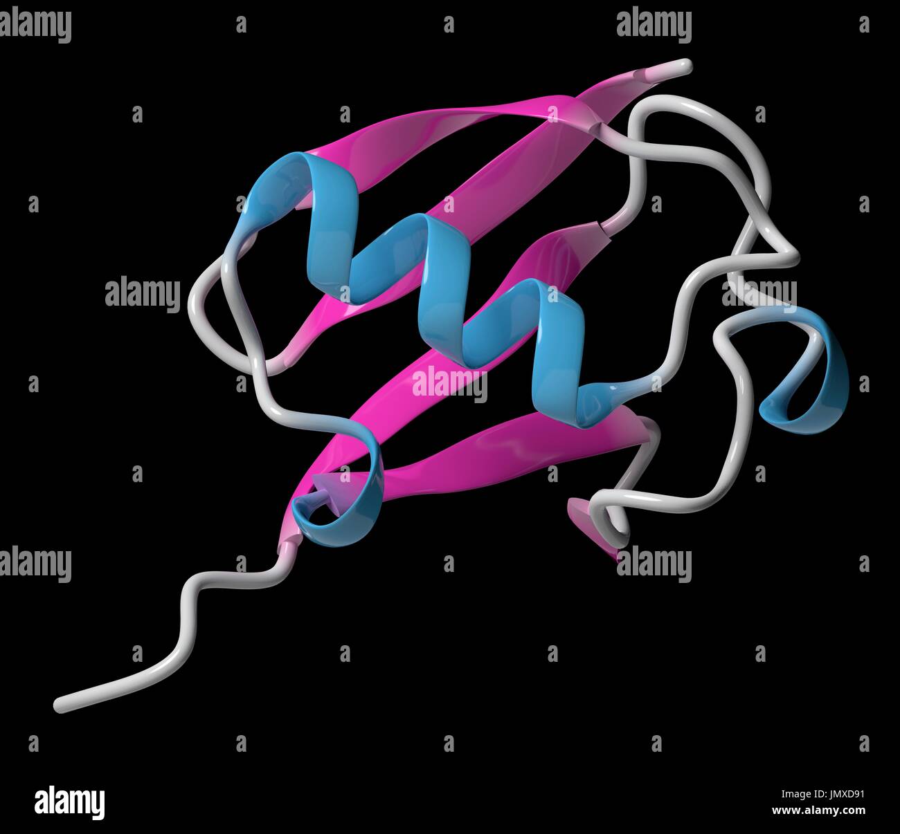 Ubiquitin protein molecule. Molecular tag that indicates proteins marked for recycling. Cartoon model, secondary structure colouring (helices blue, sheets pink Stock Photo - Alamy Ubiquitin protein molecule. Molecular tag that indicates proteins marked for recycling. Cartoon model, secondary structure colouring (helices blue, sheets pink Stock Photo - Alamy