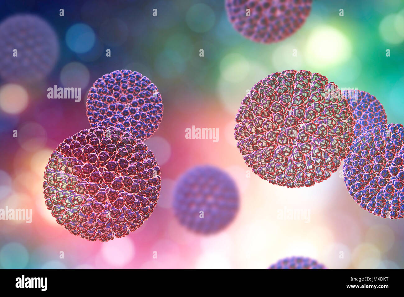 Rotavirus particle, computer illustration. The virus particle consists of an RNA (ribonucleic acid) core surrounded by a triple layered capsid. Rotaviruses are probably the most common viruses to infect humans and animals. They are associated with gastroenteritis and diarrhoea - typically infecting the intestines of children aged from 6 months to 3 years. The viruses are spread in faeces. Stock Photo