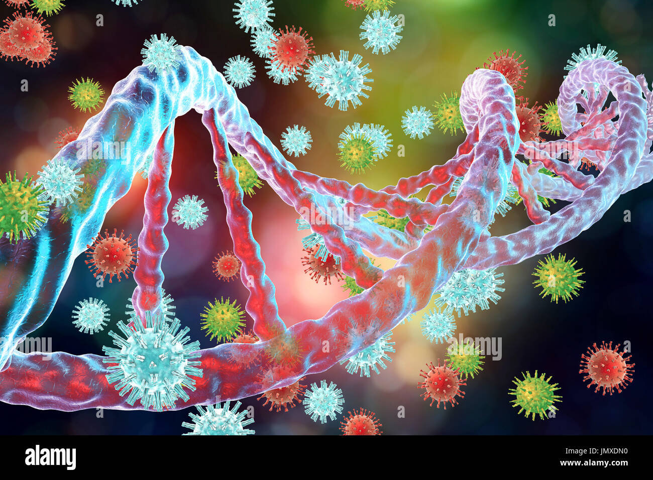 Conceptual image for interaction between viruses and host-cell DNA (deoxyribonucleic acid). Integration of viruses into DNA is the key step in oncogenesis. Several viruses, such as hepatitis B virus, papillomavirus and other, can integrate into host DNA as insertional mutagens causing the activation of a cellular proto-oncogene which eventually leads to uncontrolled cell multiplication and cancer development. Stock Photo
