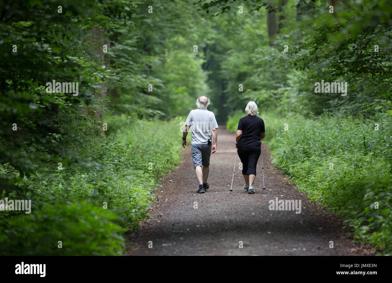Senior couple walking in forest in summertime Stock Photo - Alamy