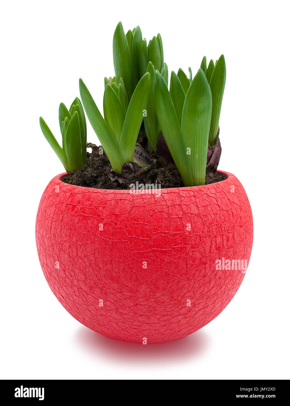 Flower pot cut out Cut Out Stock Images & Pictures - Alamy