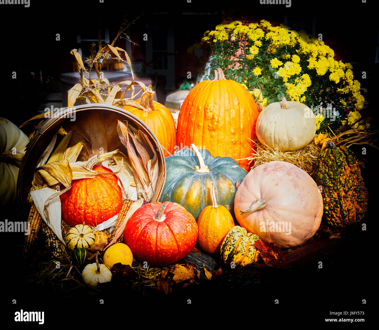 Harvest Pumpkins and Gourds Stock Photo