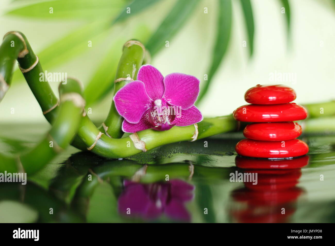 Red pebbles arranged in Zen lifestyle with an orchid and bamboo branch on shiny floor Stock Photo