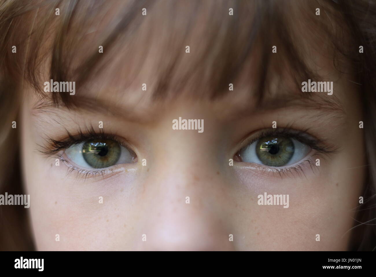 Close up of a young brown haired girl with piercing green eyes Stock Photo