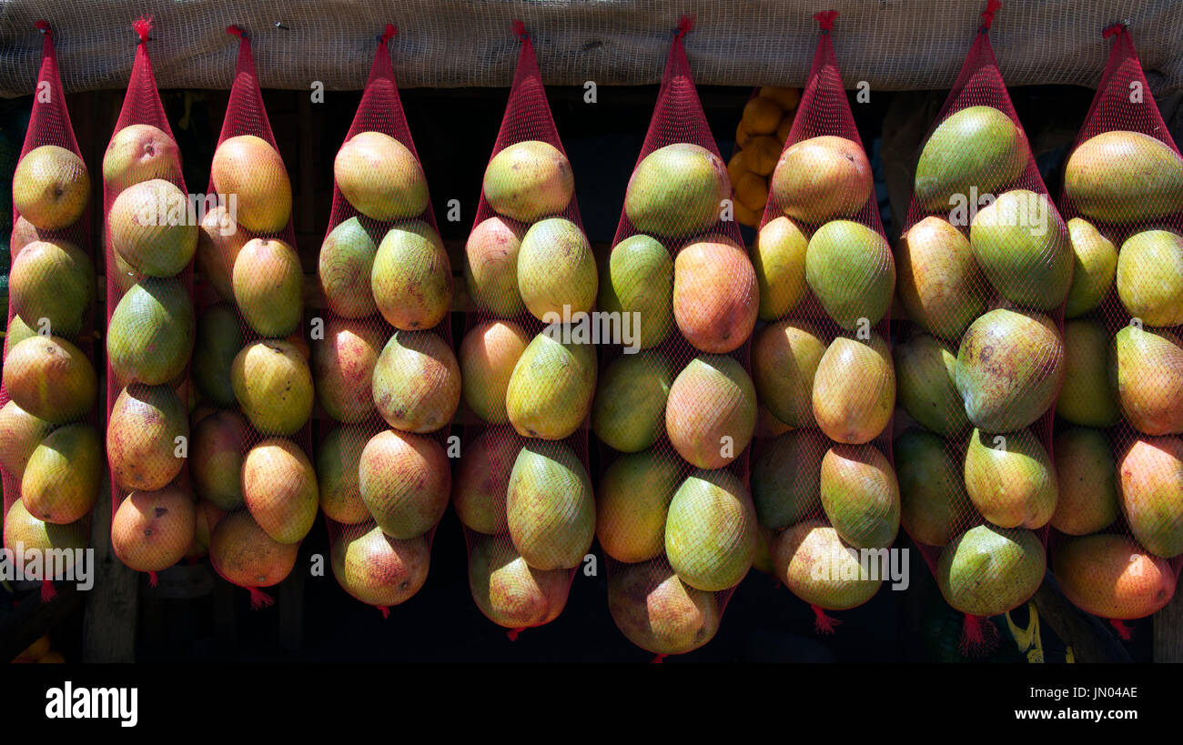 Mangoes for sale roadside stall Limpopo South Africa Stock Photo Alamy