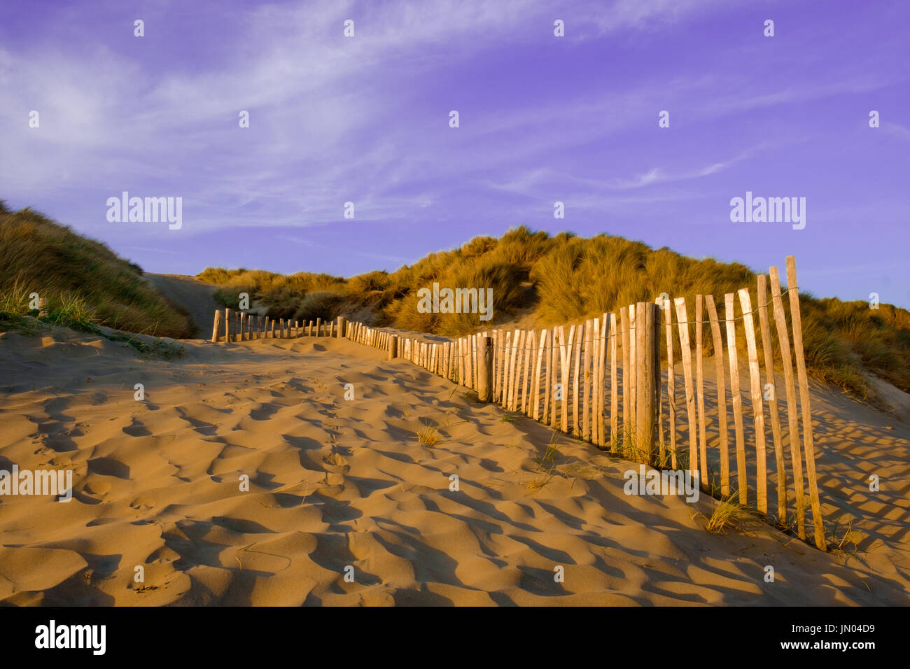 Fence on one of Camber Sands Beach dune, East Sussex, England Stock Photo