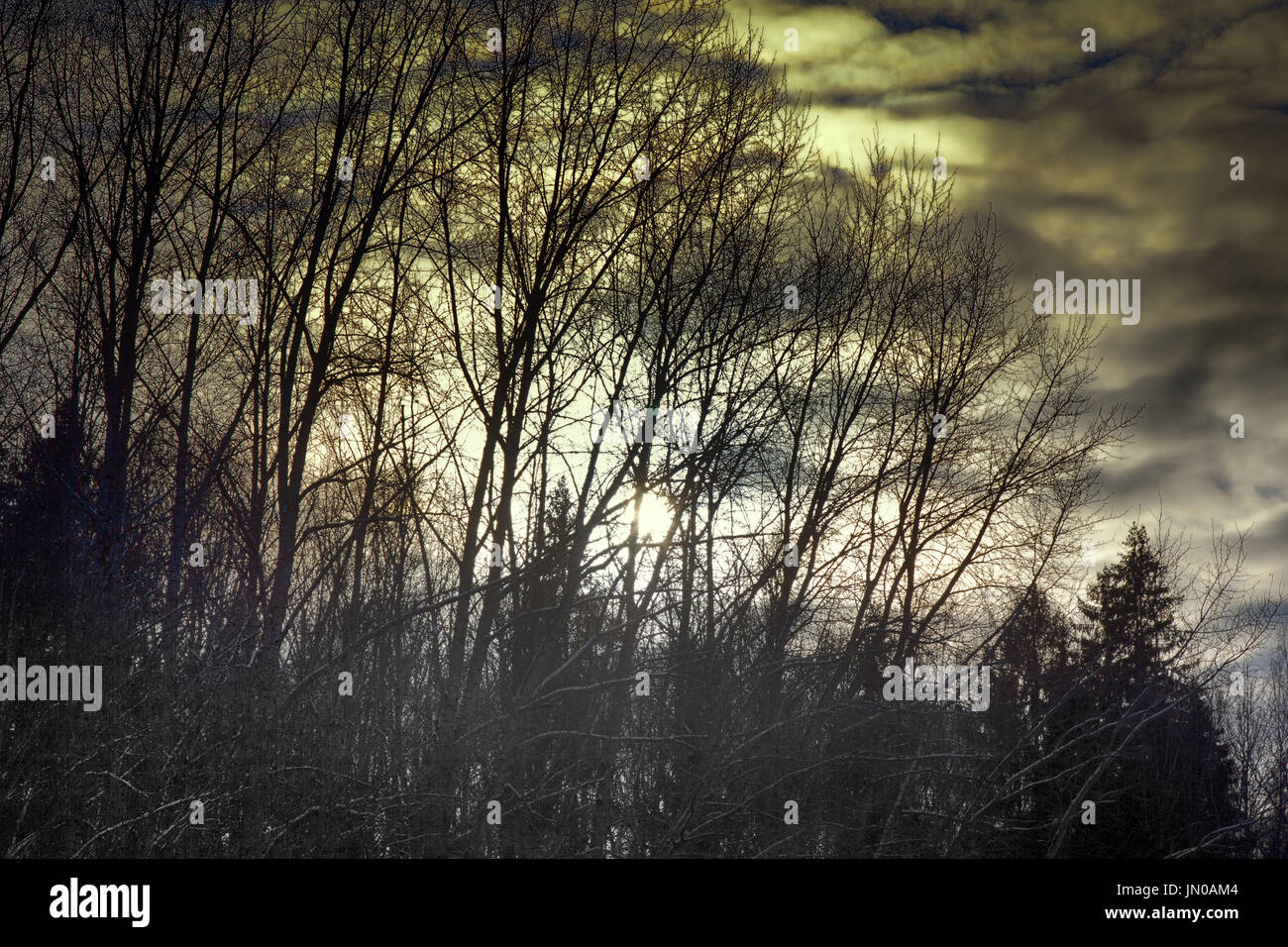 landscape dark atmosphere. dark forest autumn weather Stock Photo - Alamy