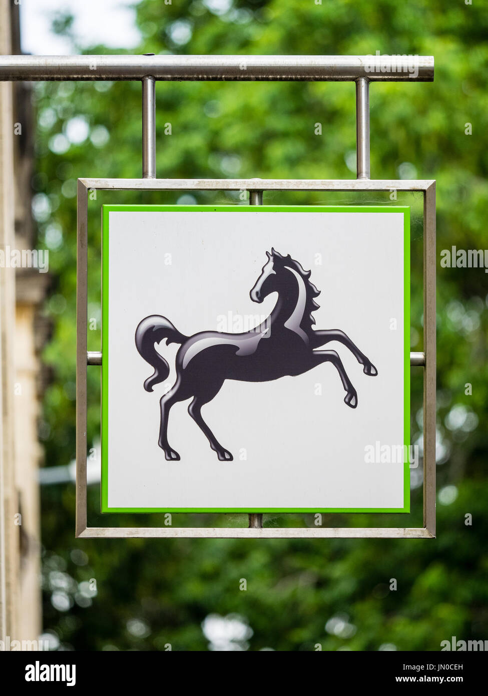New style Lloyds Bank Branch Sign on a branch in central Cambridge UK Stock Photo