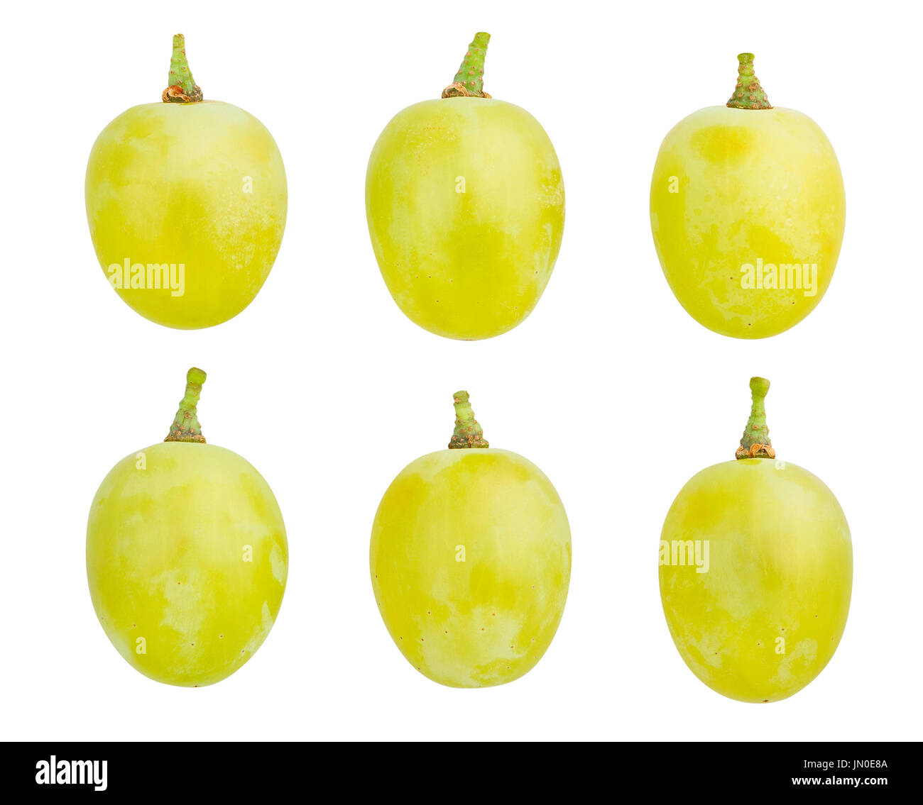 white grapes bean path isolated Stock Photo Alamy