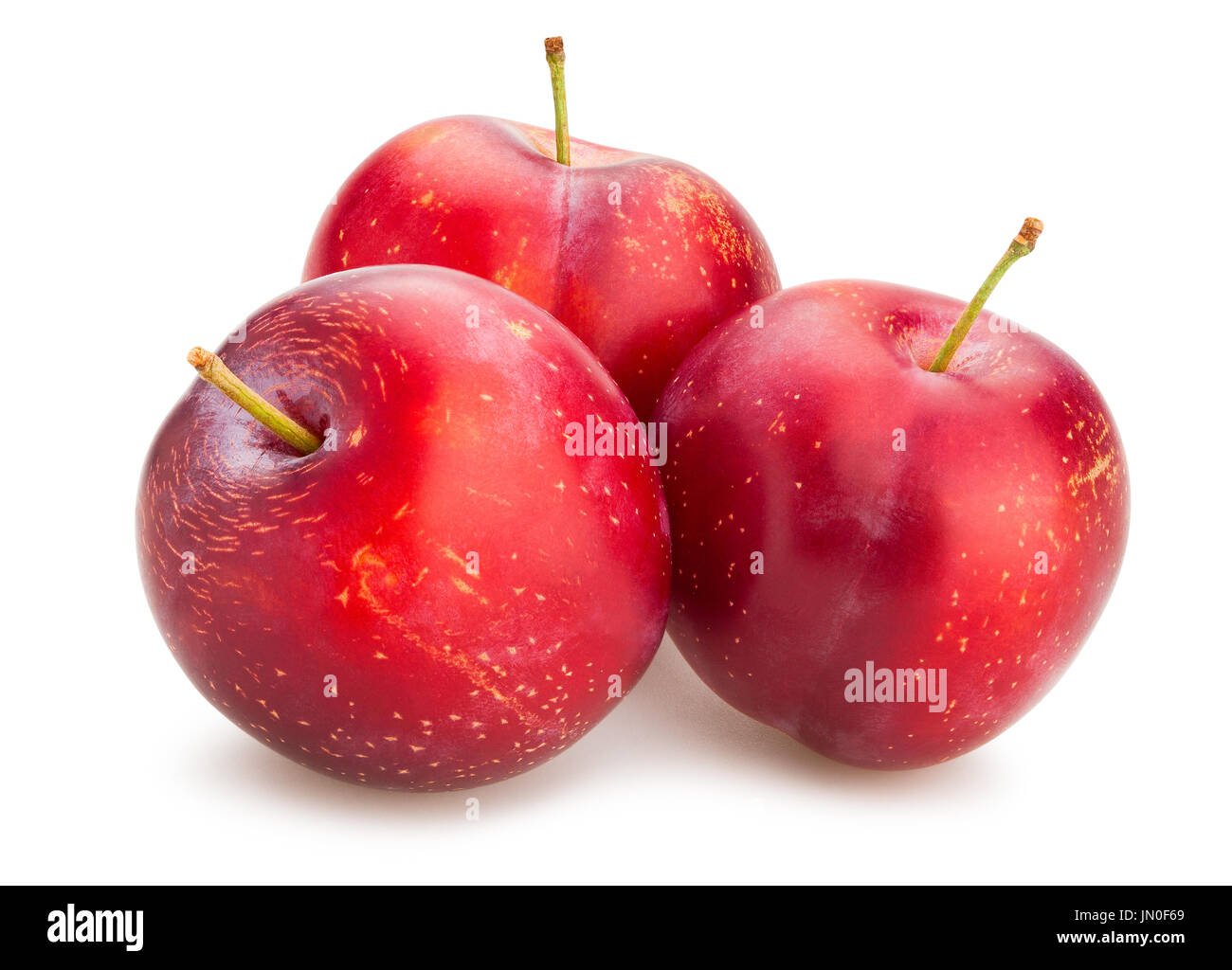 red plums path isolated Stock Photo