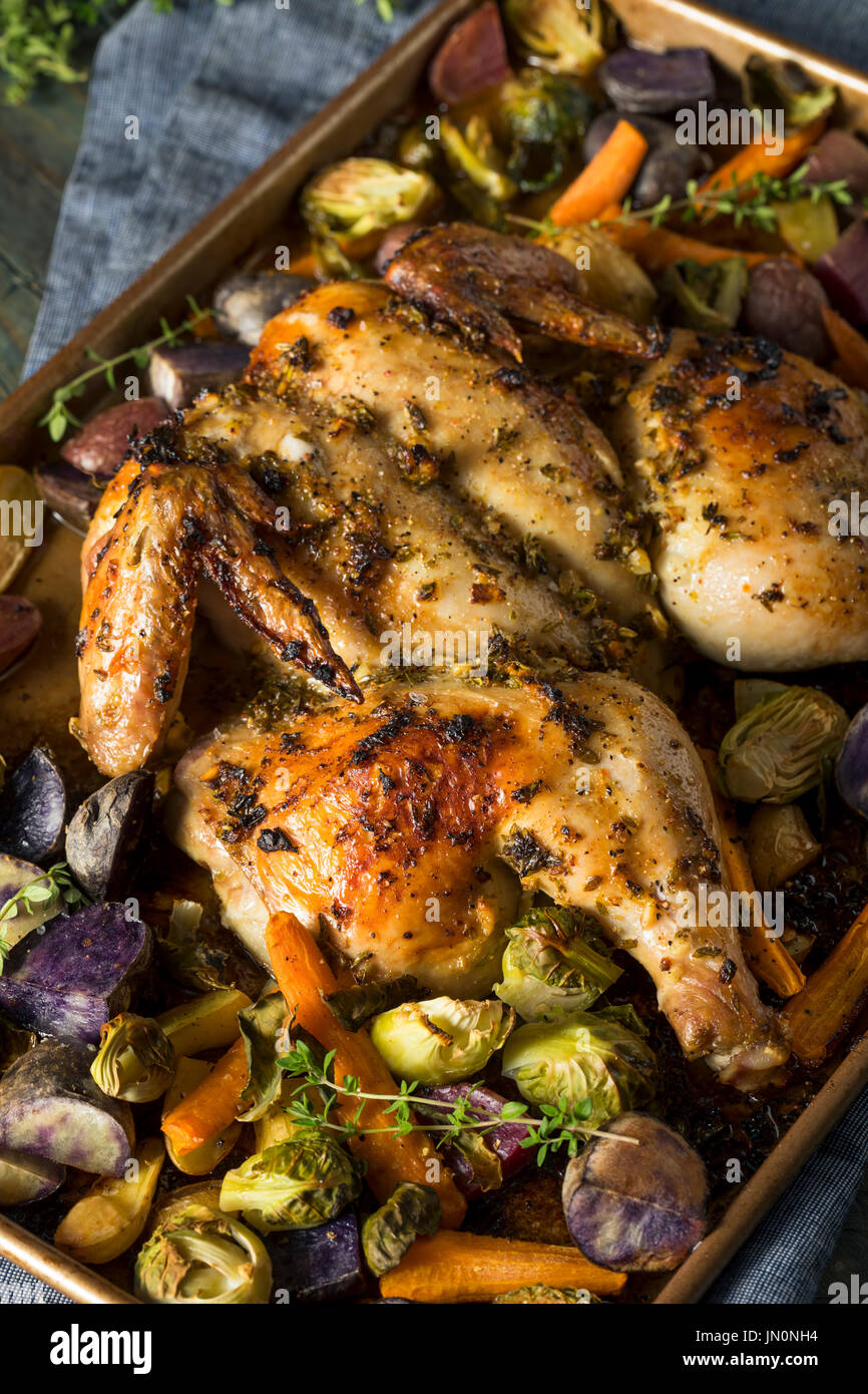Herbed Baked Spatchcock Chicken with Vegetables and Herbs Stock Photo