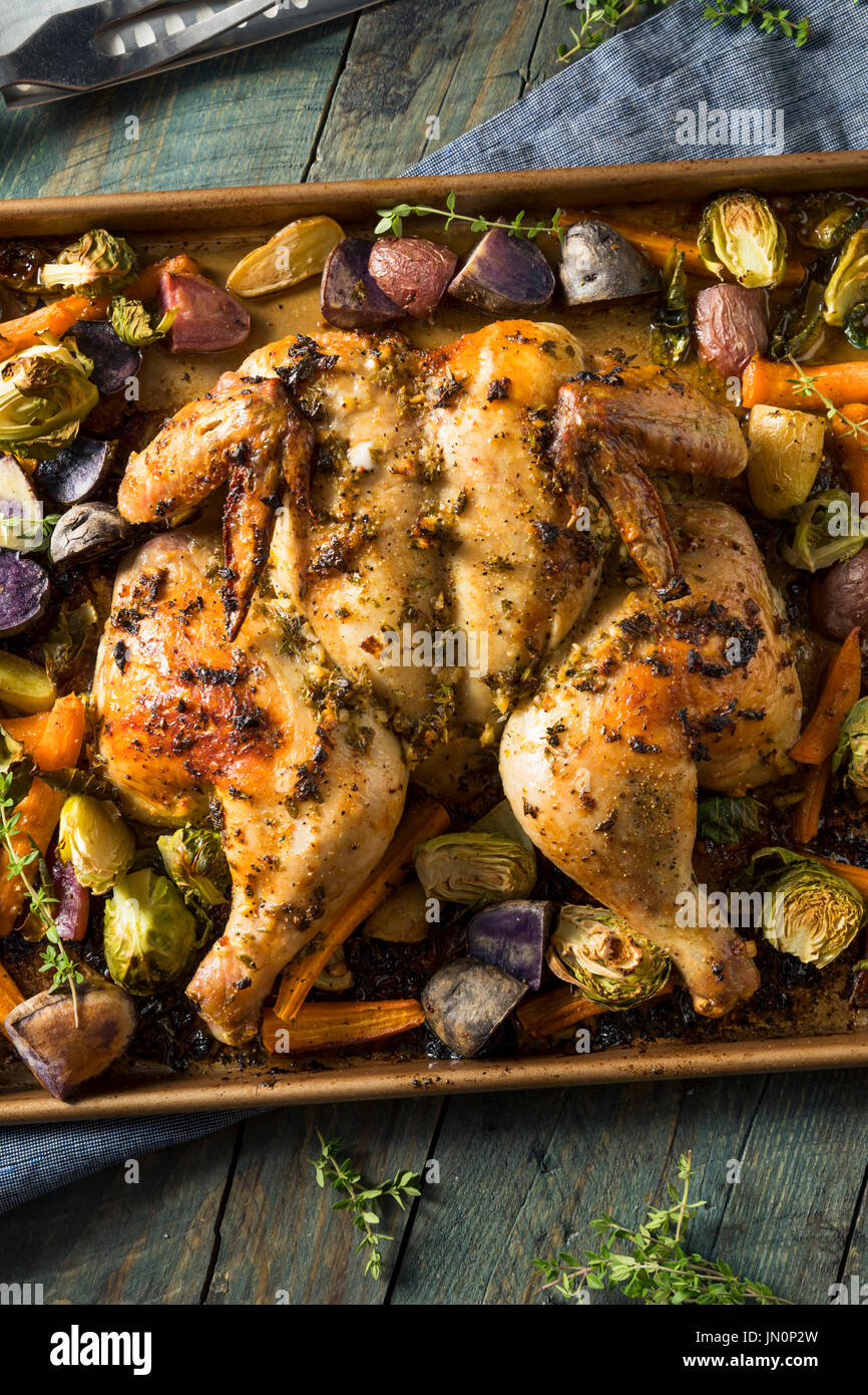 Herbed Baked Spatchcock Chicken with Vegetables and Herbs Stock Photo
