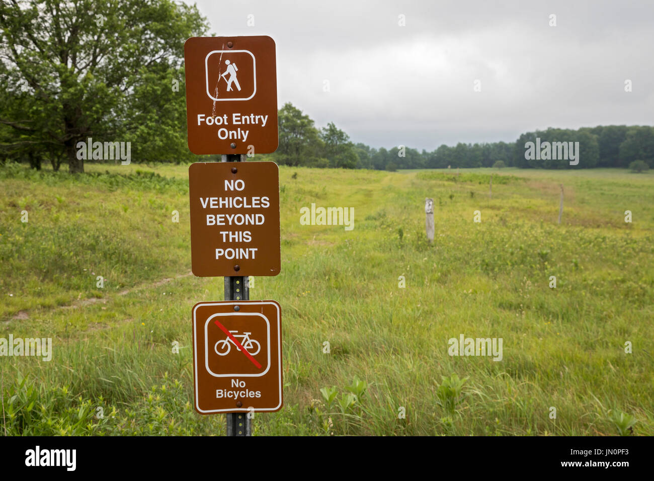 Davis, West Virginia - A hiking trail in the Canaan Valley National Wildlife Refuge. Stock Photo