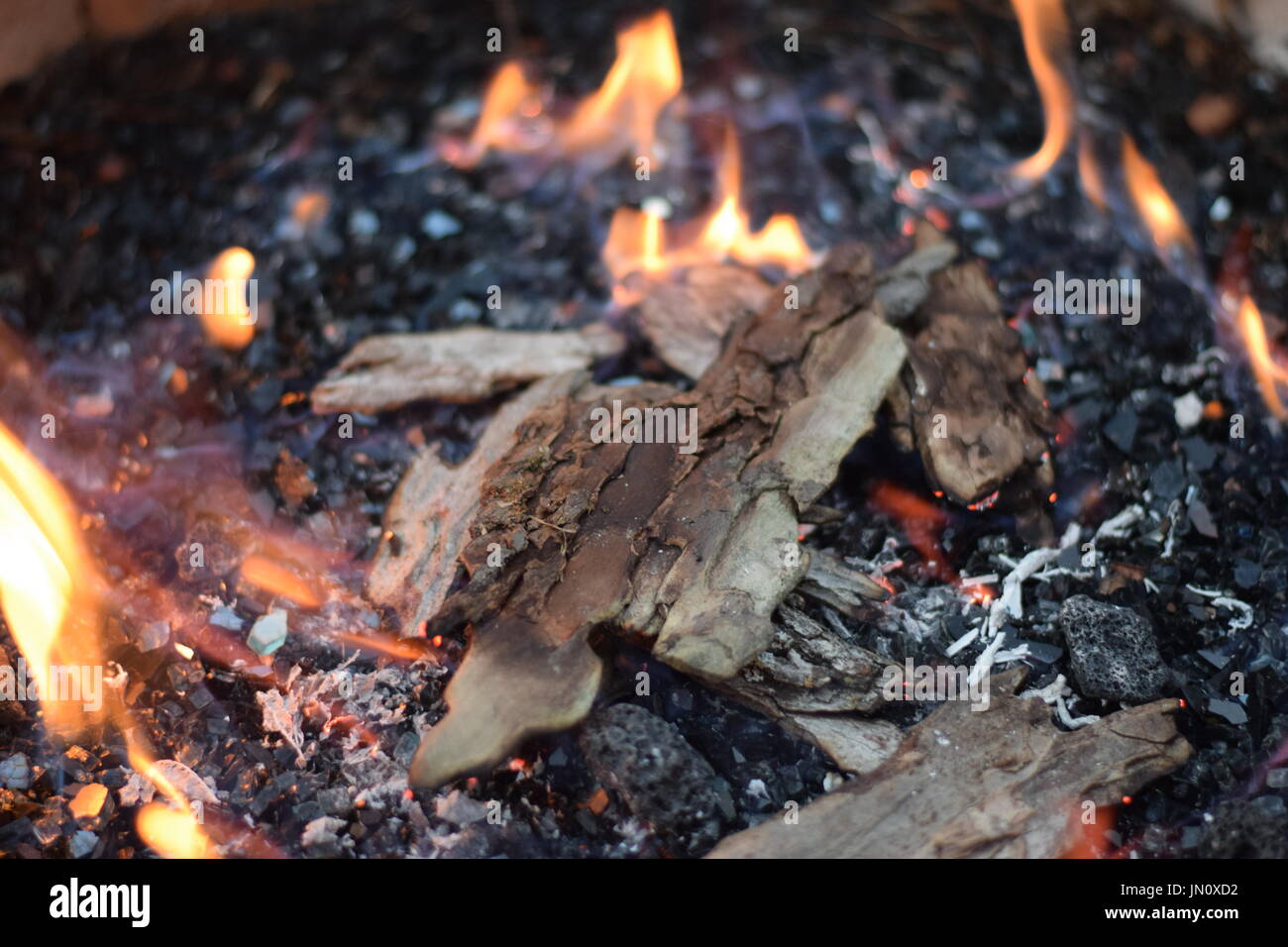 Bark Burning On Glass Fire Pit Stock Photo 150611470 Alamy