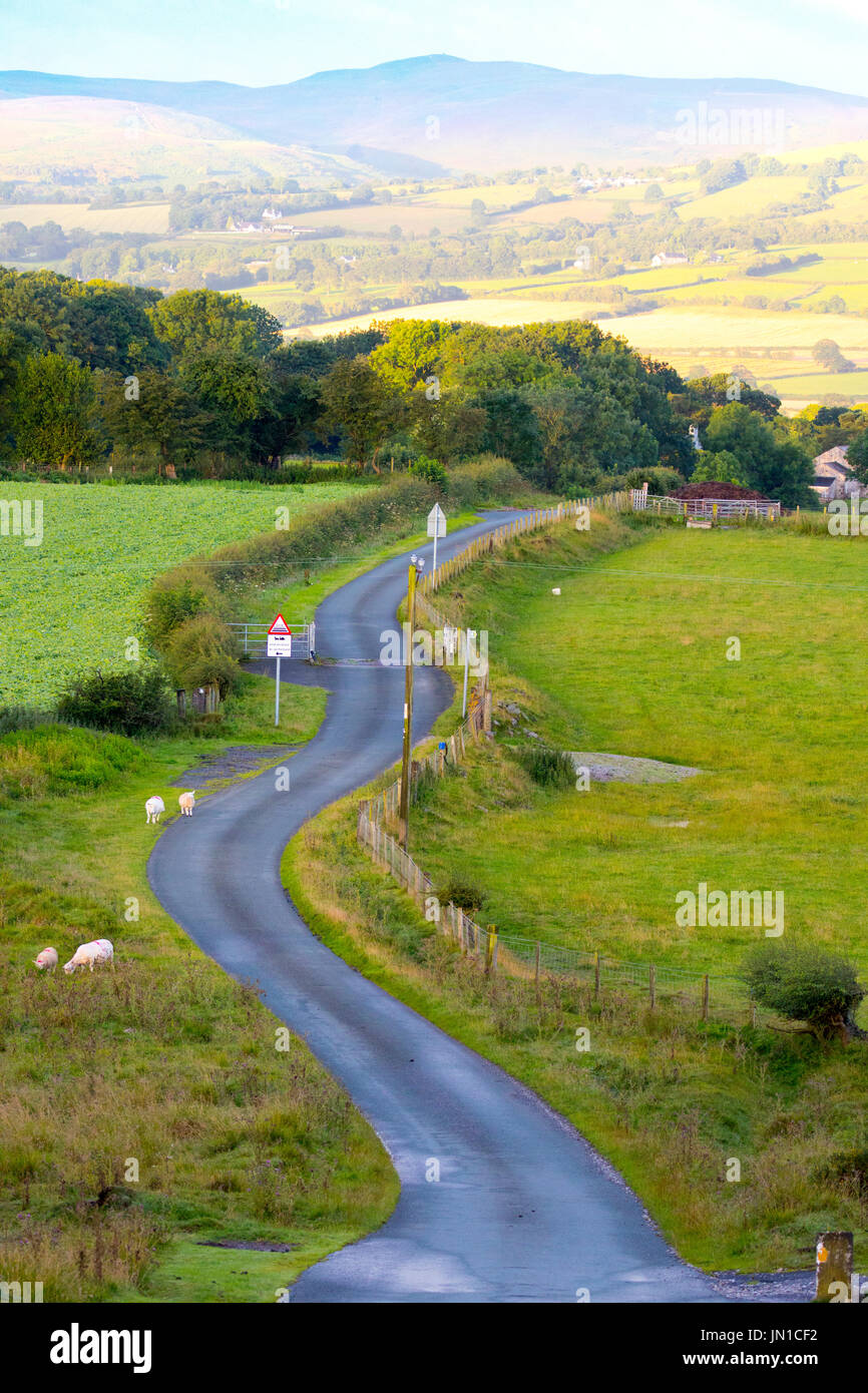 A meandering lane cuts through open country farmland from the village