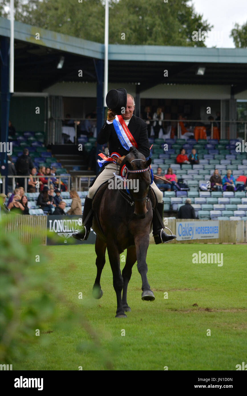 Royal International Horse Show, Hickstead, Sussex. 28th July, 2017. ALLISTER HOOD riding DIAMONDS ARE FOREVER winning the Saracen Horse Feeds Supreme Riding Horse Championship Credit: Tim Mander/Alamy Live News Stock Photo
