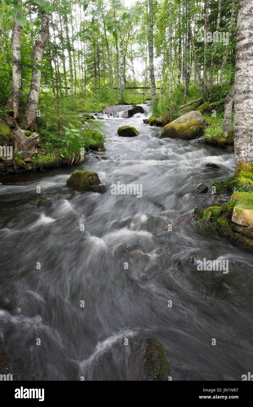 A Little Creek Running to River Kitkajoki in Käylä Kuusamo, Finland Stock Photo