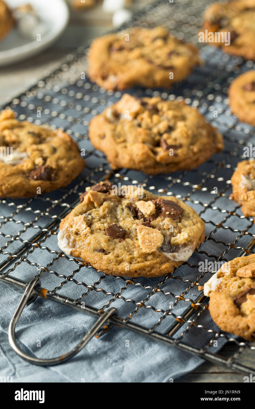 Homemade Gooey Smores Cookies with Marshmallows Chocolate and Graham