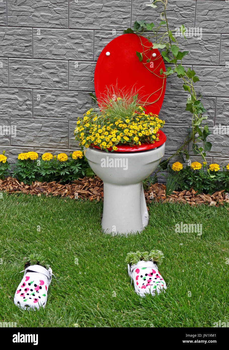 Old toilet bowl as a unusual garden decoration. New life for old things
