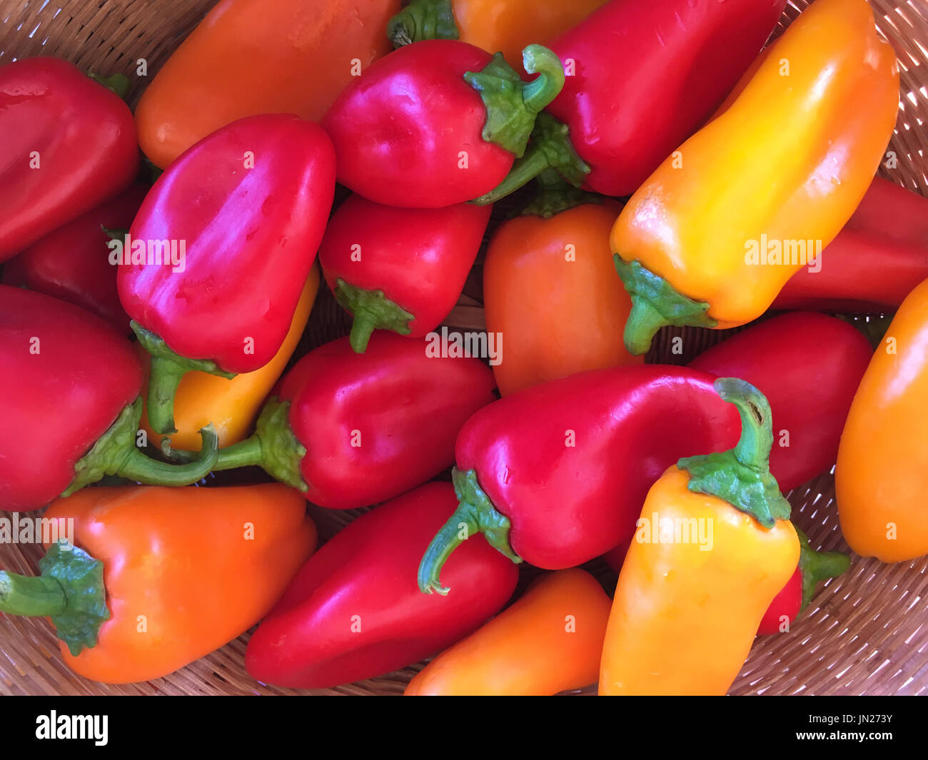 Download Assortment Of Small Red Yellow And Orange Peppers Stock Photo Alamy Yellowimages Mockups