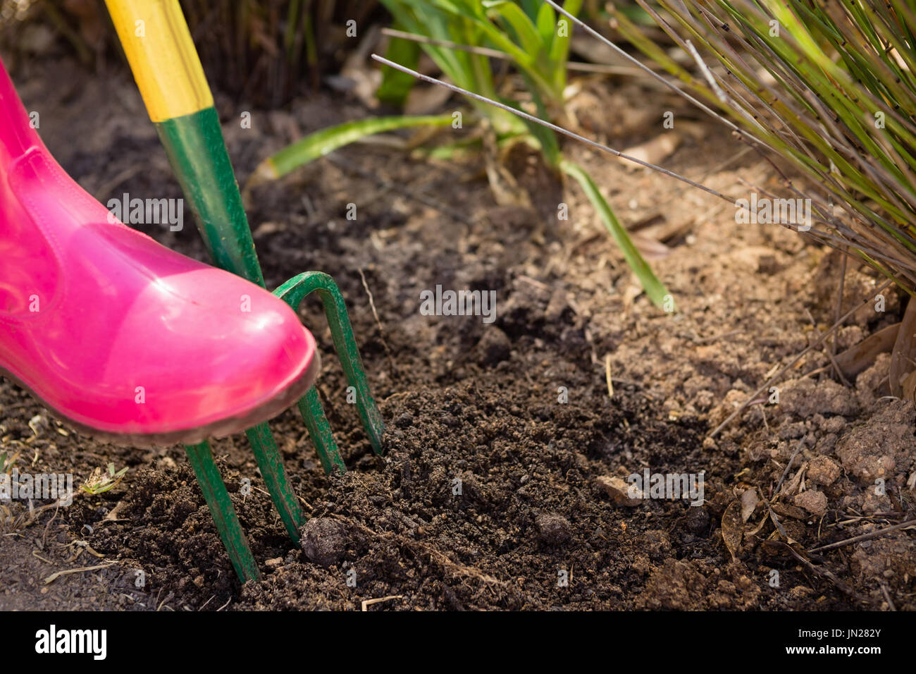 Closeup of woman loosening soil with garden fork in garden Stock Photo