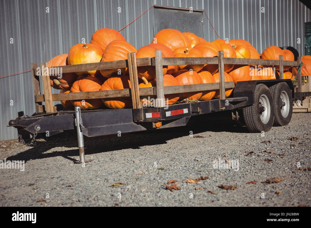 Wagon filled with pumpkins at farm house Stock Photo - Alamy