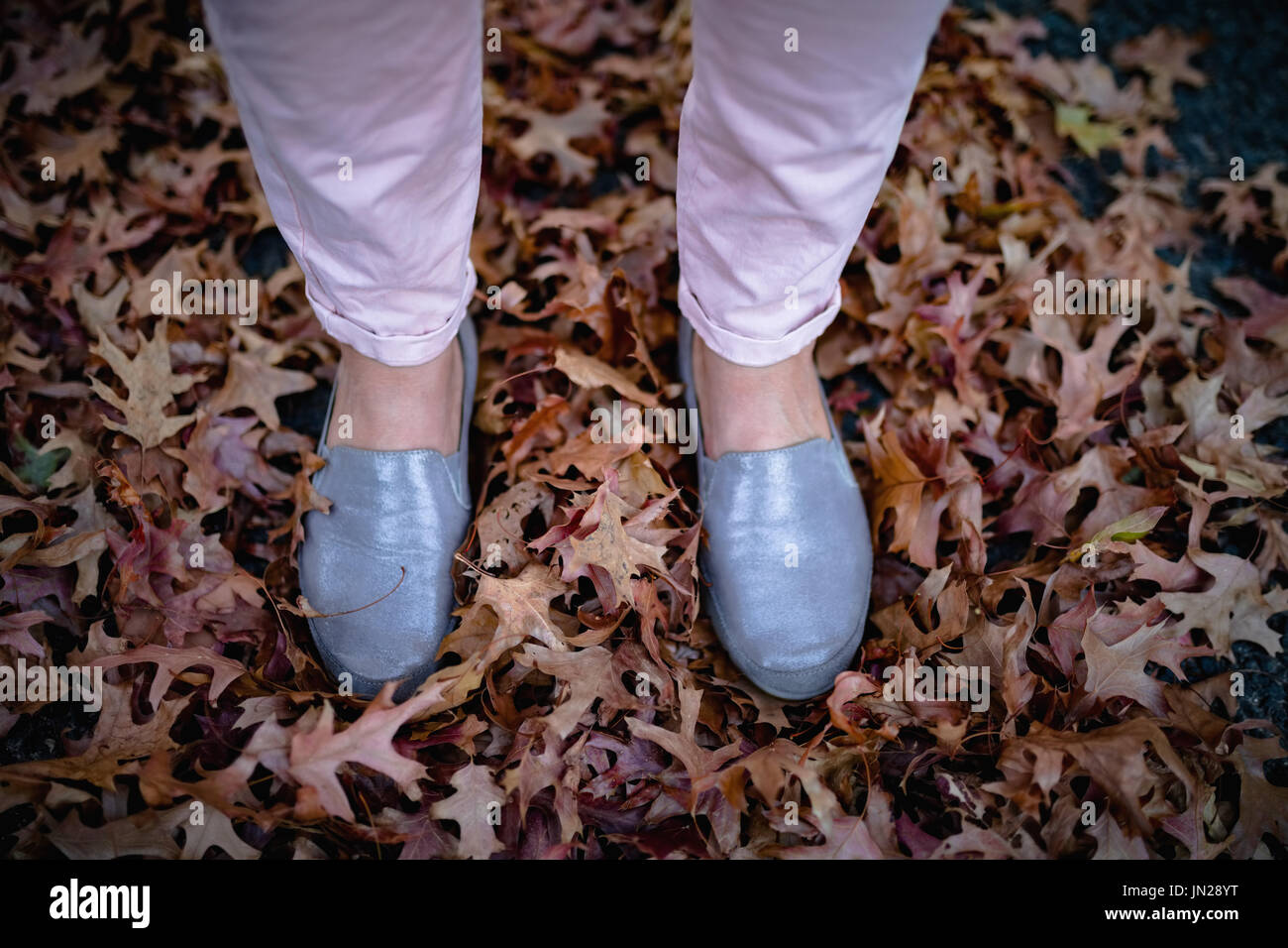 Low section of woman standing in autumn leaf Stock Photo