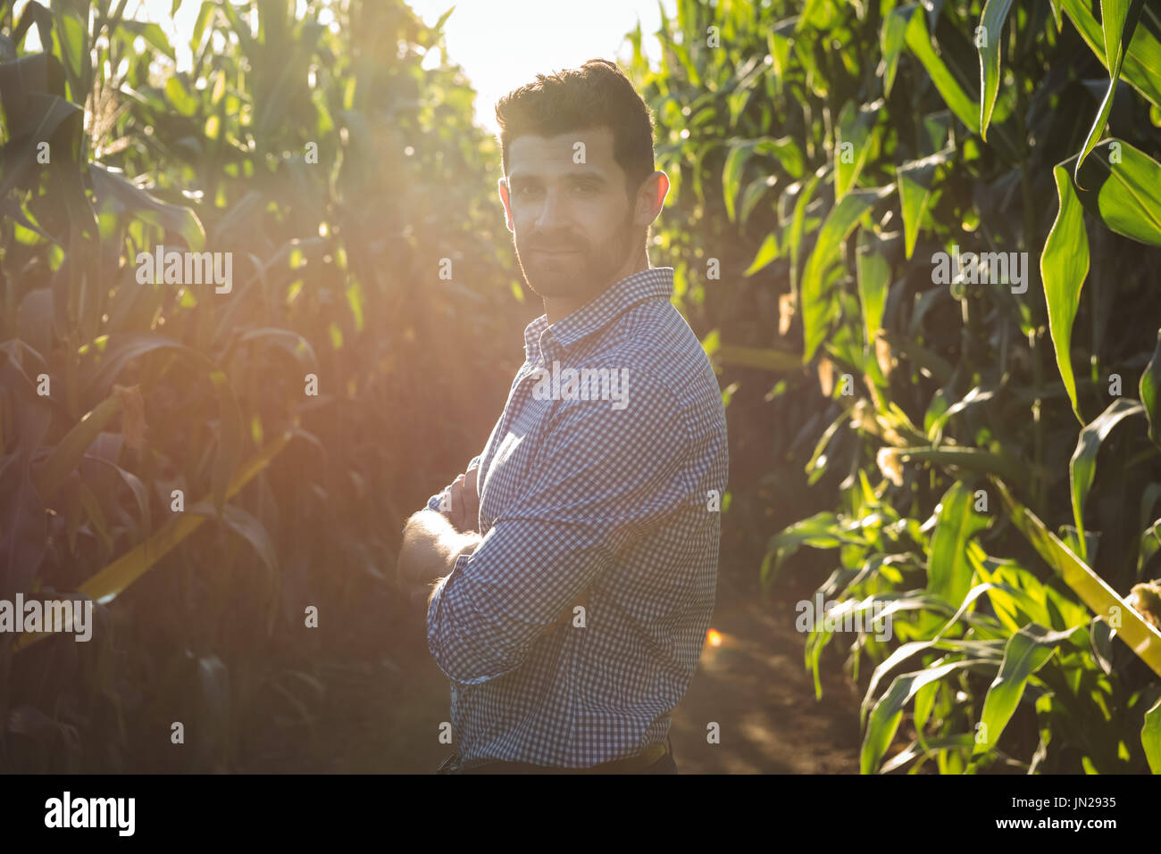 Portrait of man standing with arms crossed in field on a sunny day ...