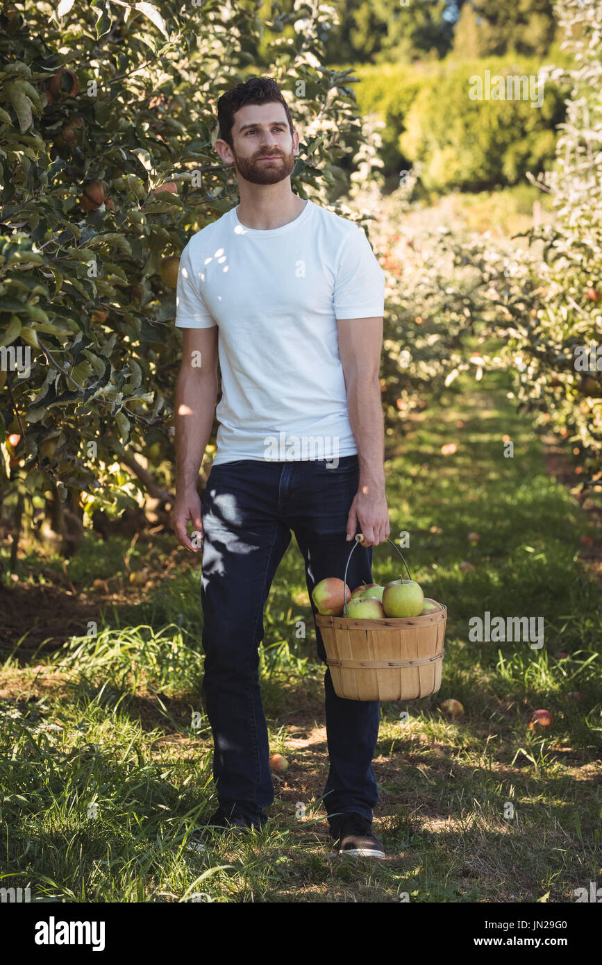 Male farmer holding bucket full of apples Stock Photo - Alamy