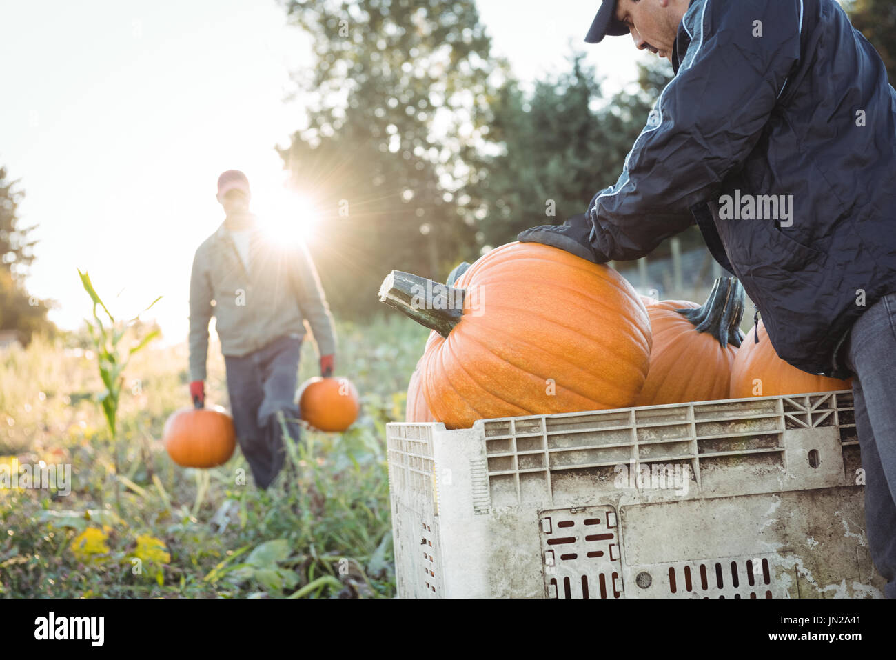 Farmers eating in field hi-res stock photography and images - Alamy