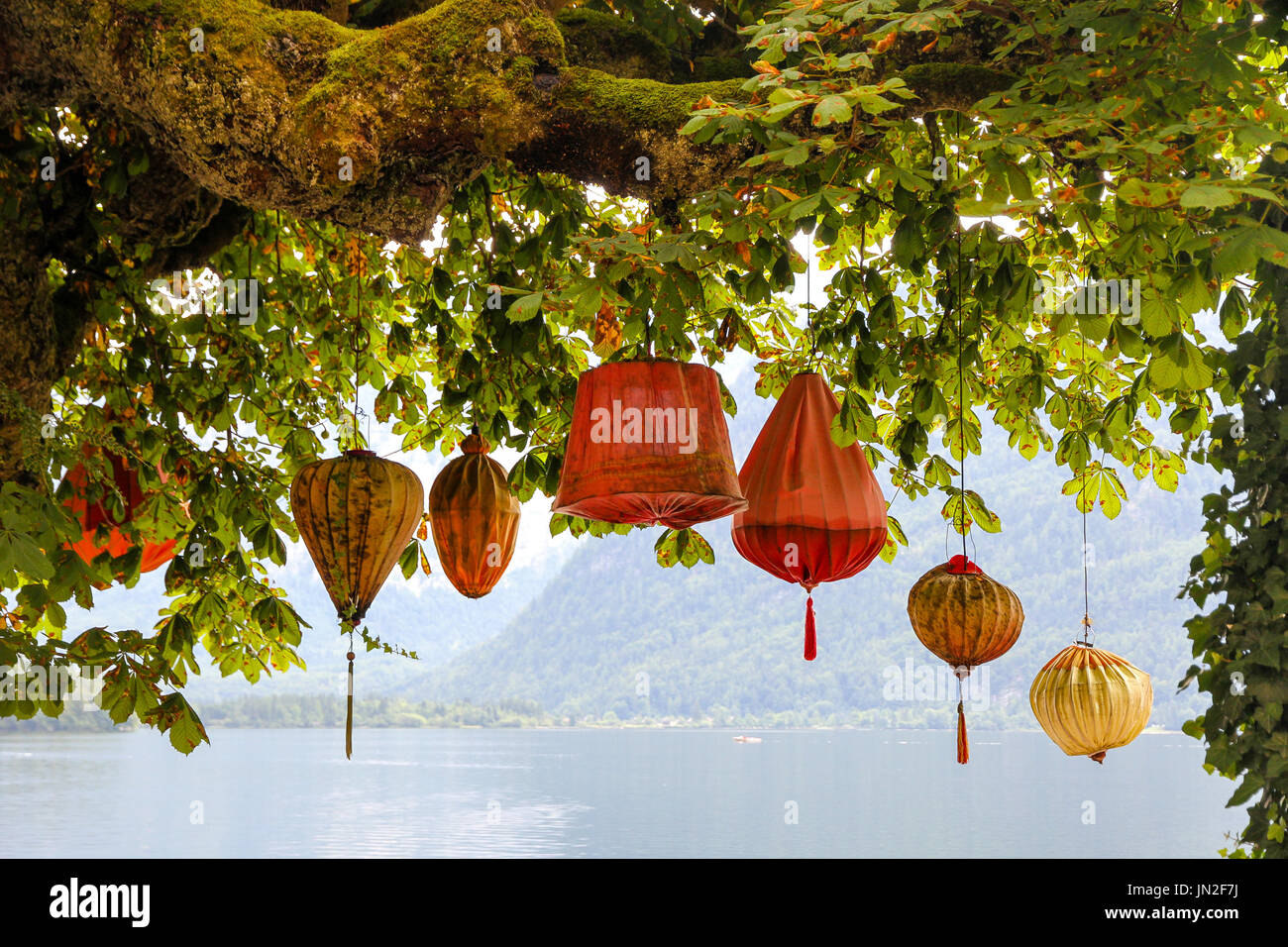 Traditional colorful Asian lanterns (common in China, Korea, Japan, Vietnam, Thailand) hanging below an old tree with green leaves against a lake. Stock Photo