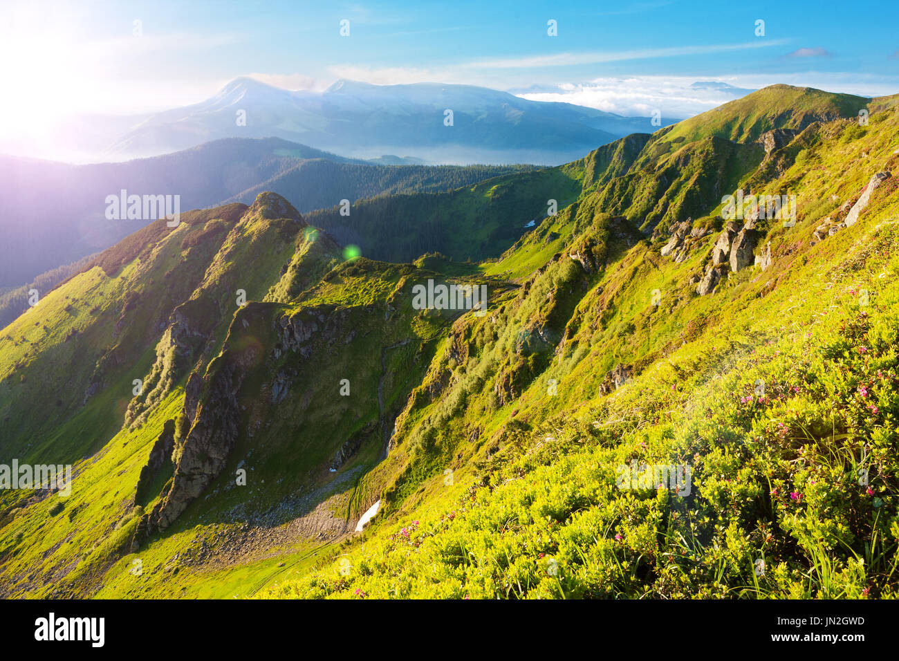 Magnificent view of the Carpathian Mountains in the morning Stock Photo ...