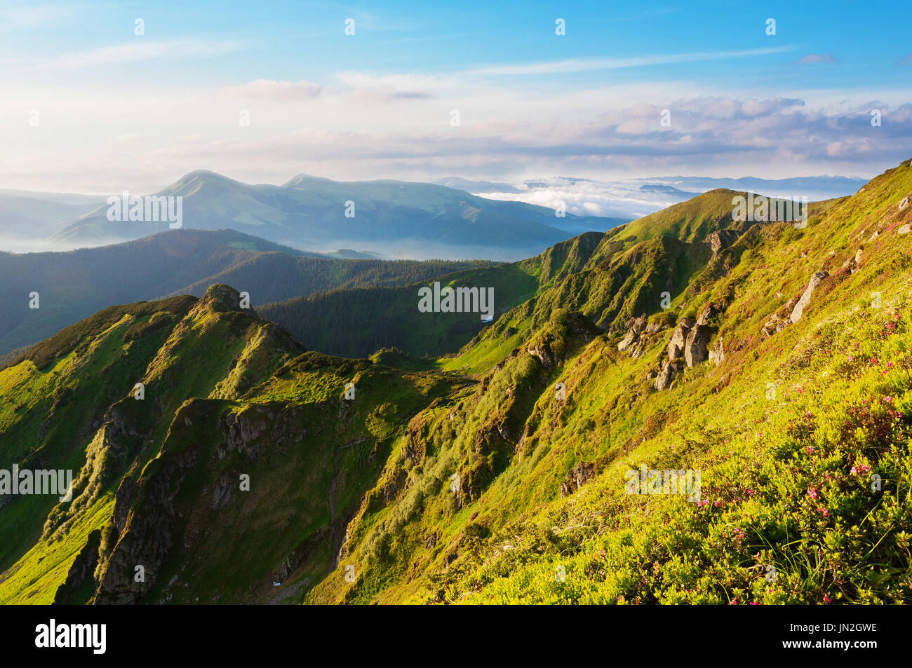 Magnificent view of the Carpathian Mountains in the morning Stock Photo ...