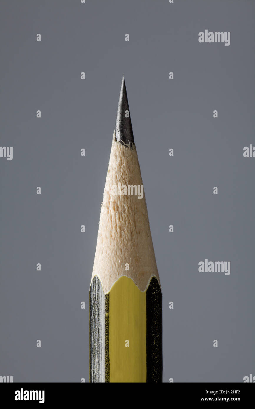 Close Up of a Pencil Tip on Gray Background Stock Photo