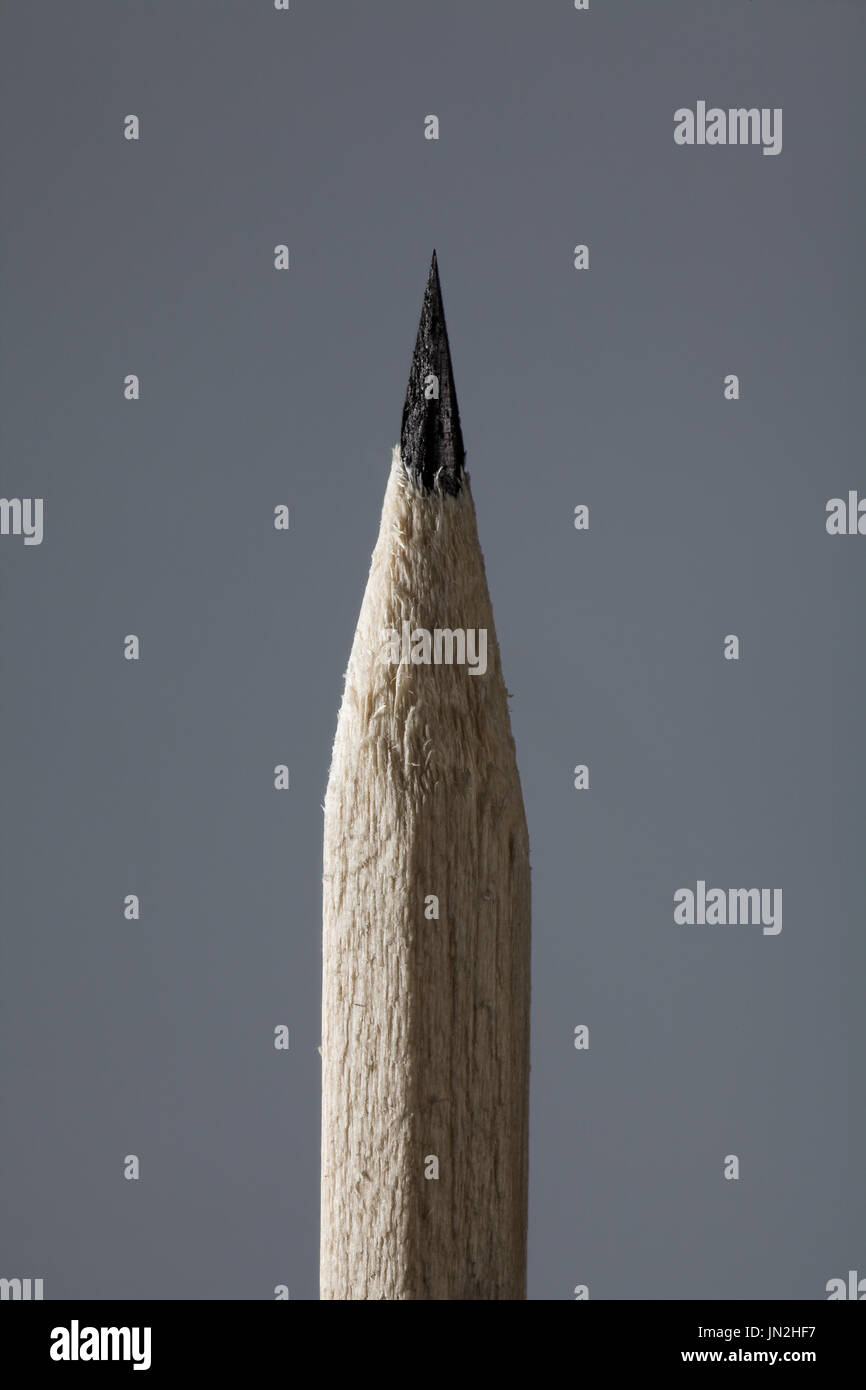Close Up of a Wooden Pencil on Gray Background Stock Photo