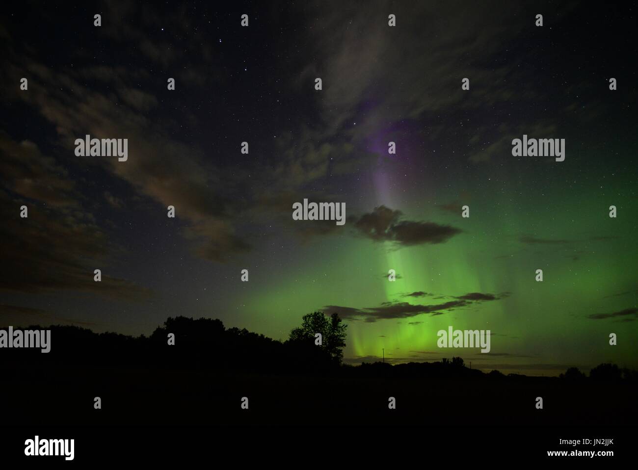 Alberta northern lights dancing with pillars of green and purple